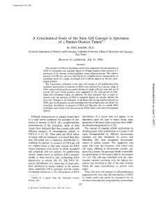 A Cytochemical Study of the Stem Cell Concept in Specimens o£ a