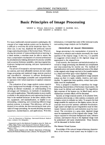 Basic Principles of Image Processing