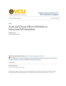 Acute and Chronic Effects of Inhalants in Intracranial Self