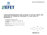 Mousia (EFET): Corticosterone-regulated actions in the rat