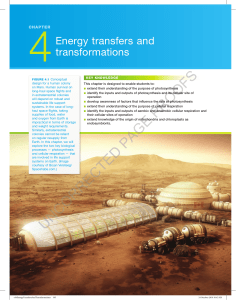 CHAPTER 4 Energy transfers and transformations