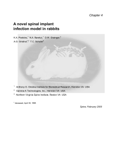 A novel spinal implant infection model in rabbits