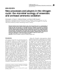New processes and players in the nitrogen cycle: the microbial
