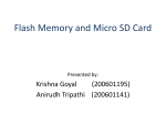 Flash memory and Micro SD card File