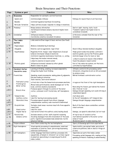 Brain Structures and Their Functions