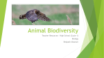 Animal Biodiversity