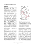 Lab #10: Cardiovascular Physiology