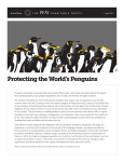 Protecting the World`s Penguins