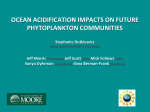 ocean acidification impacts on future phytoplankton communities