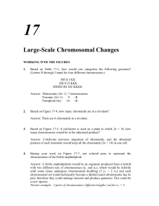 Large-Scale Chromosomal Changes