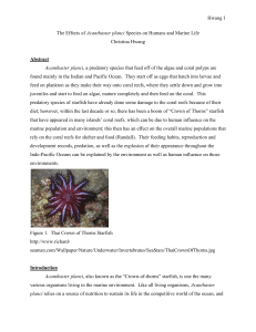 Hwang 1 The Effects of Acanthaster planci Species on