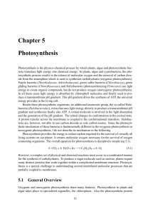 Chapter 5 Photosynthesis