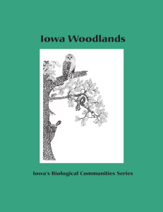 Iowa Woodlands - Extension Store