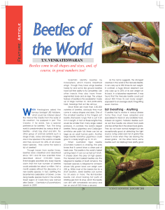 Beetles of the World Beetles of the World