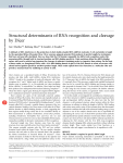 488KB  - The Doudna Lab - University of California, Berkeley