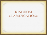 Kingdoms and Cladograms