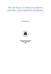 The mechanics of adhesion polymers and their