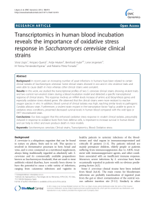 Transcriptomics in human blood incubation reveals the importance