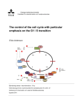 The control of the cell cycle with particular emphasis on the G1 / S