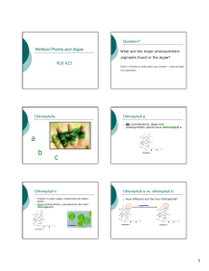 Algal Pigments