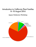 Introduction to California Plant Families 8–10 August 2014