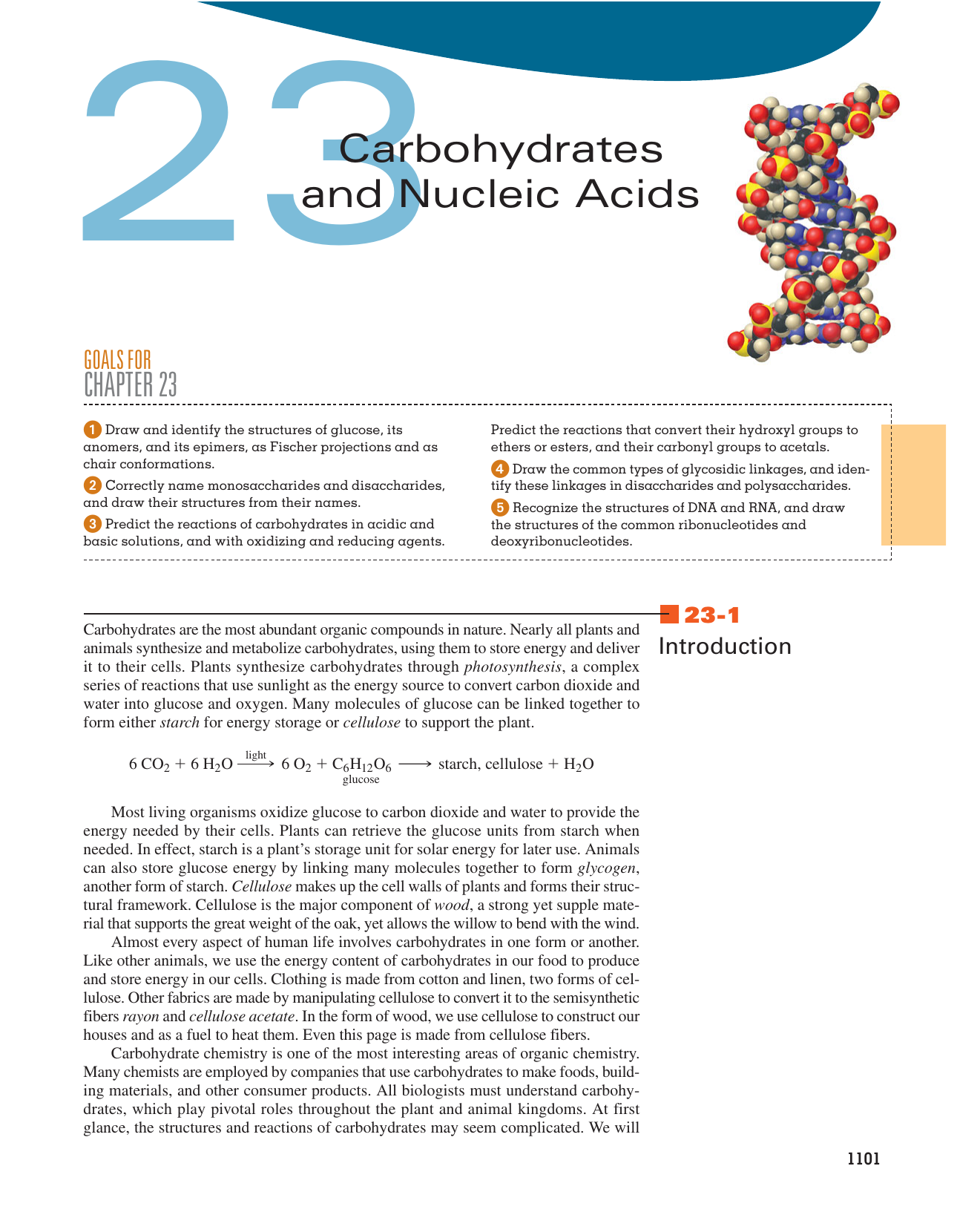 Carbohydrates And Nucleic Acids
