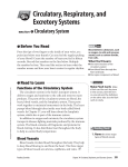 Circulatory, Respiratory, and Excretory Systems