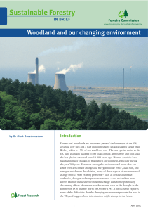Woodland and our changing environment