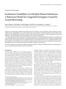 Oculomotor Instabilities in Zebrafish Mutantbelladonna