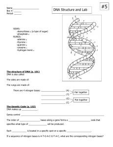 DNA Structure and Lab