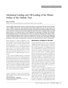 Mechanical Loading and Off-Loading of the Plantar Surface of the