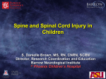 Spine And Spinal Cord Injury In Children
