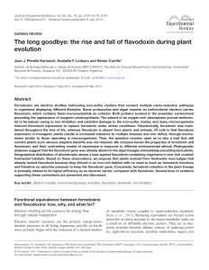 The long goodbye: the rise and fall of flavodoxin