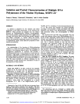 Isolation and Partial Characterization of Multiple