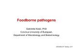 Why High Incidence of Foodborne Disease?