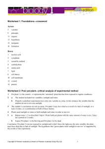 Worksheet 1: Foundations—crossword