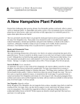 A New Hampshire Plant Palette