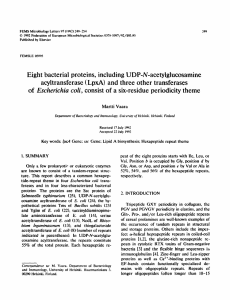 Eight bacterial proteins, including UDP-N