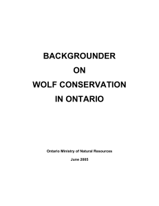 backgrounder on wolf conservation in ontario