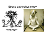 Stress pathophysiology