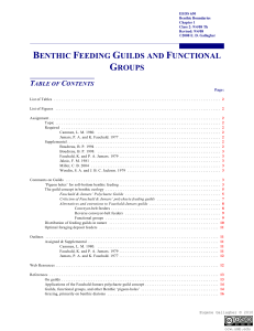 BENTHIC FEEDING GUILDS AND FUNCTIONAL GROUPS