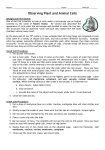 Observing Plant and Animal Cells