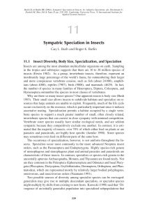 Sympatric Speciation in Insects