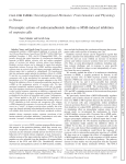 MSH-induced inhibition of oxytocin cells