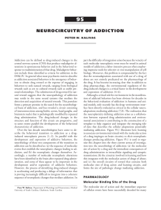 neurocircuitry of addiction