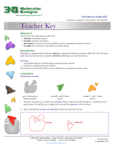 Teacher Key - 3D Molecular Designs