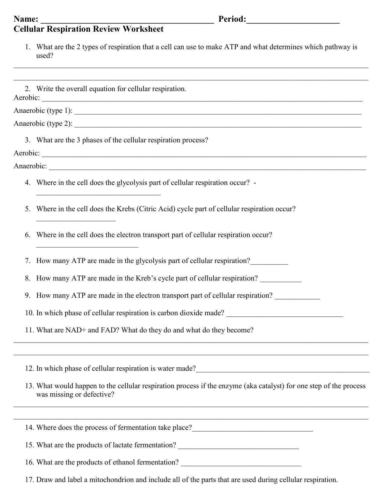 Respiration Worksheet Regarding Cellular Respiration Review Worksheet