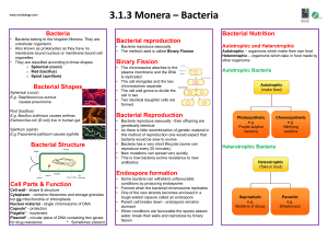 3.1.3 Monera, e.g. Bacteria