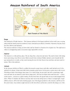 Amazon Rainforest of South America