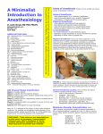 A Minimalist Introduction to Anesthesiology